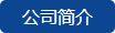公司简介